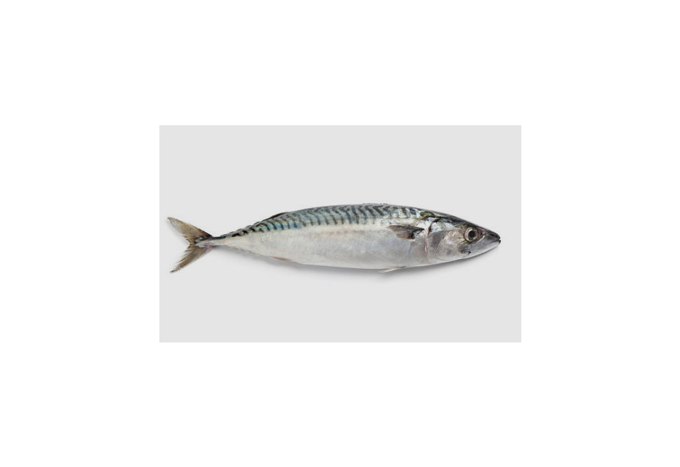 product_image_0